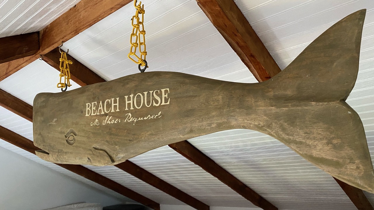 Photo of Others in East Sandwich