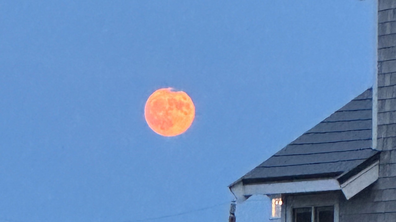 Photo of Others in East Sandwich