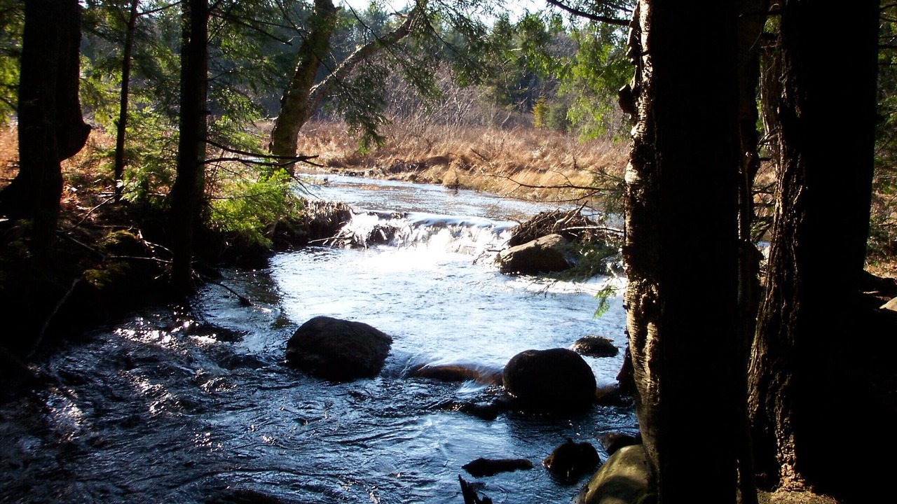 Photo of Others in Stony Creek