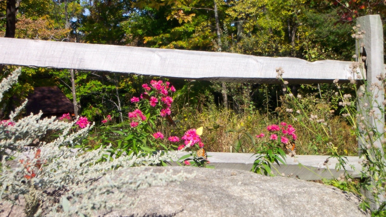 Photo of Others in Stony Creek