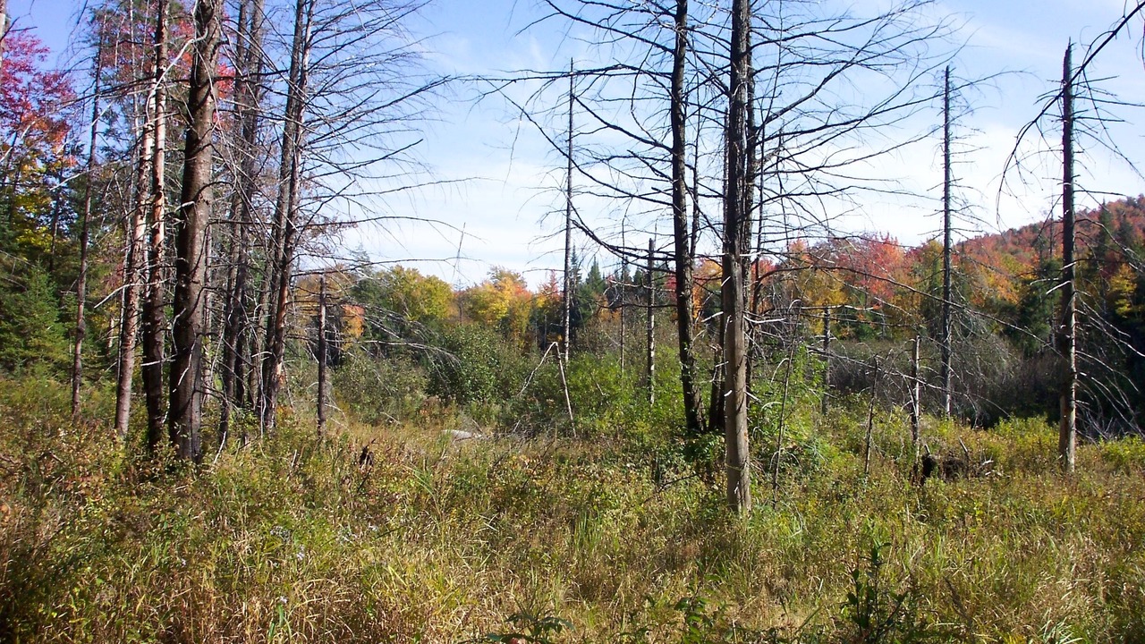 Photo of Others in Stony Creek