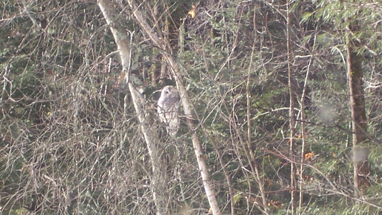 Photo of Others in Stony Creek