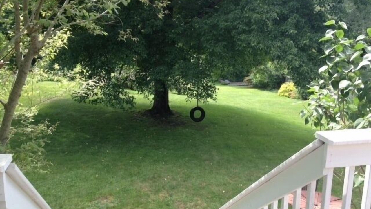 Photo of Others in North Stamford