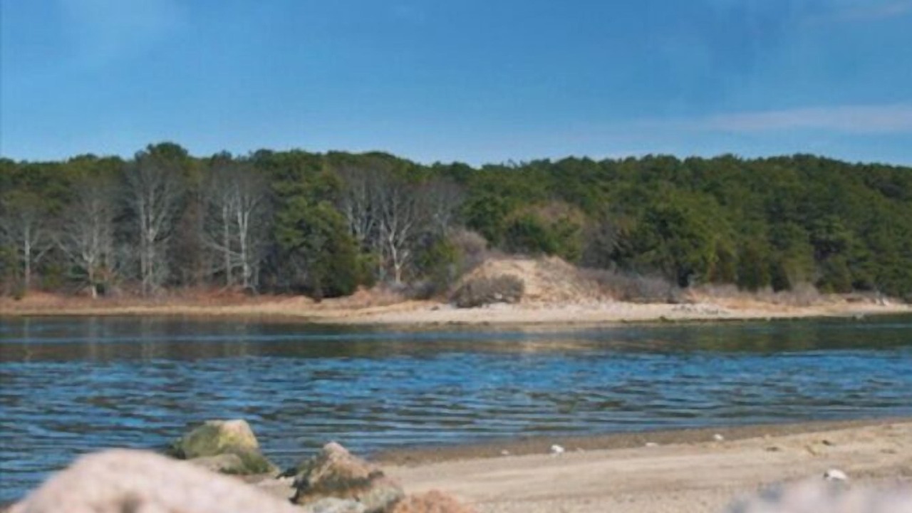 Photo of Others in East Falmouth