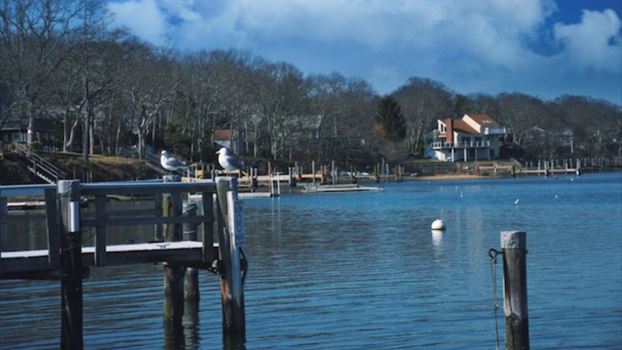 Photo of Others in East Falmouth