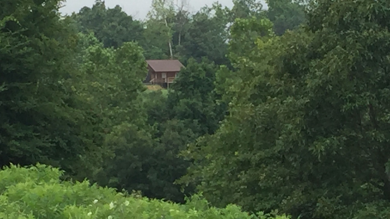 Photo of Outdoor in Harriet