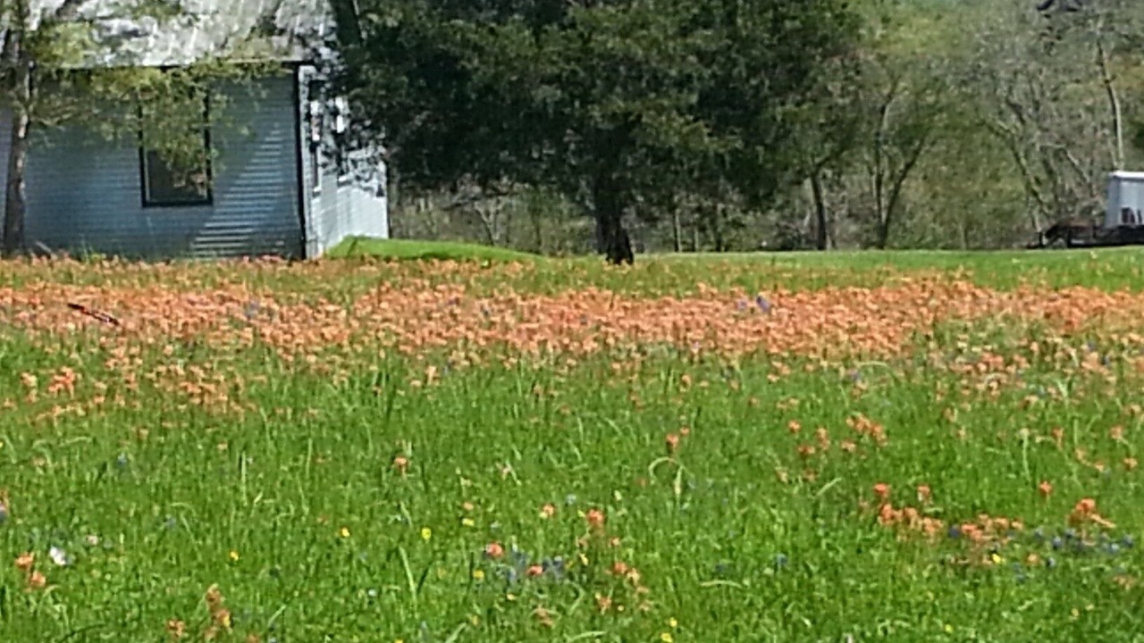 Photo of Others in Brenham