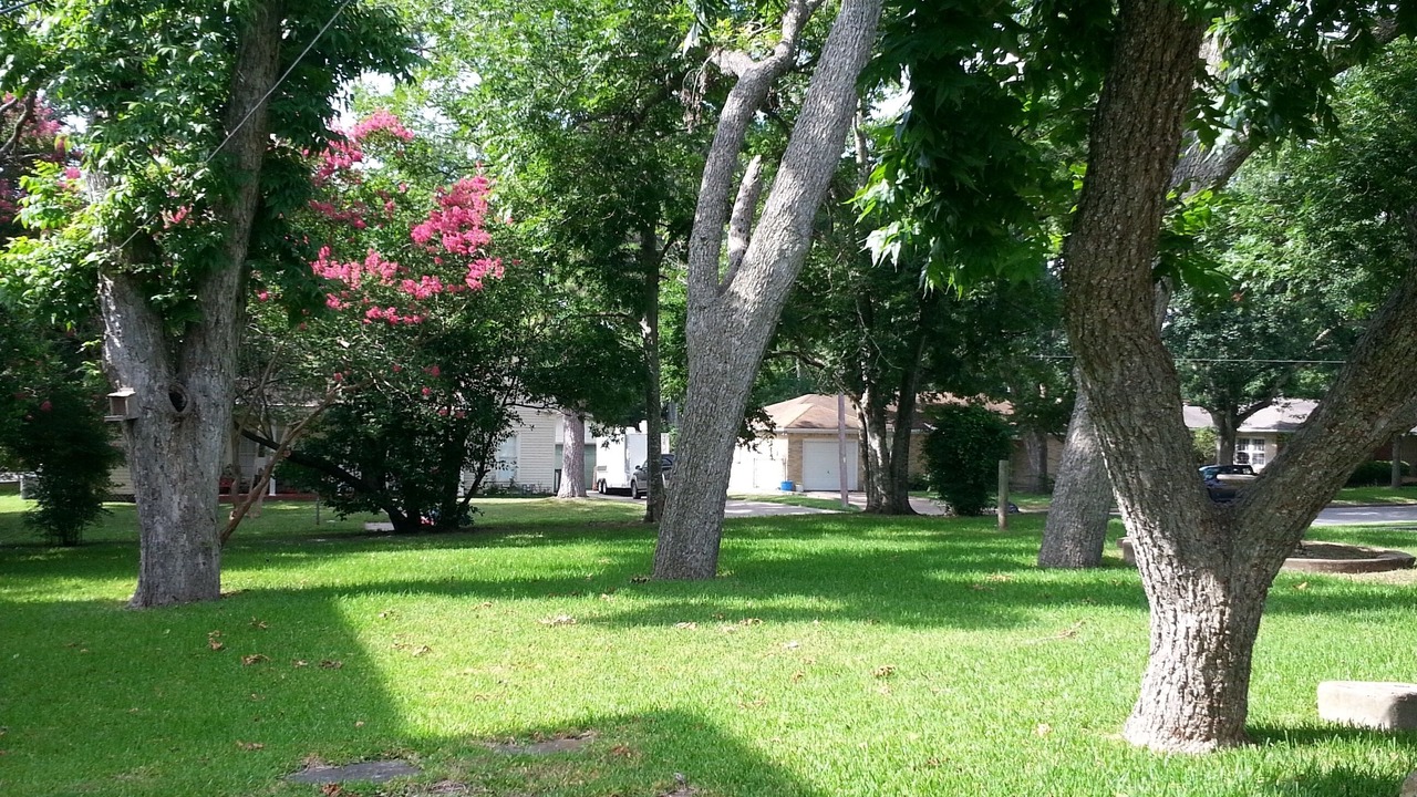 Photo of Outdoor in Brenham