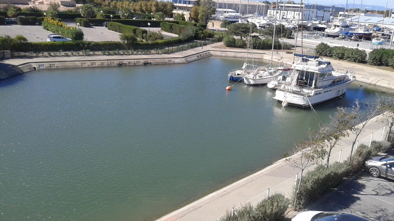 Photo of Others in Saint-Cyprien Plage