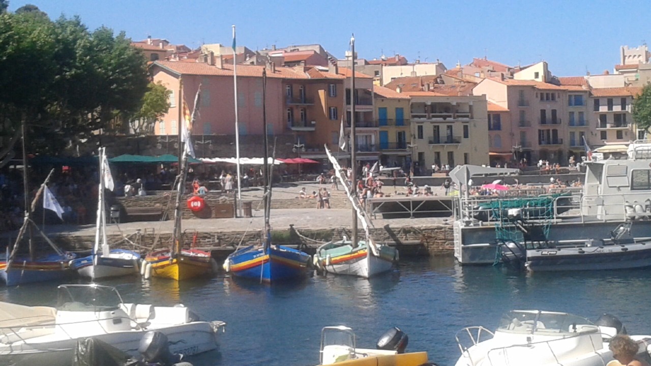 Photo of Others in Saint-Cyprien Plage