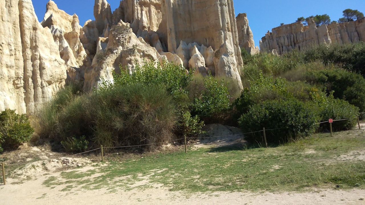 Photo of Outdoor in Saint-Cyprien Plage
