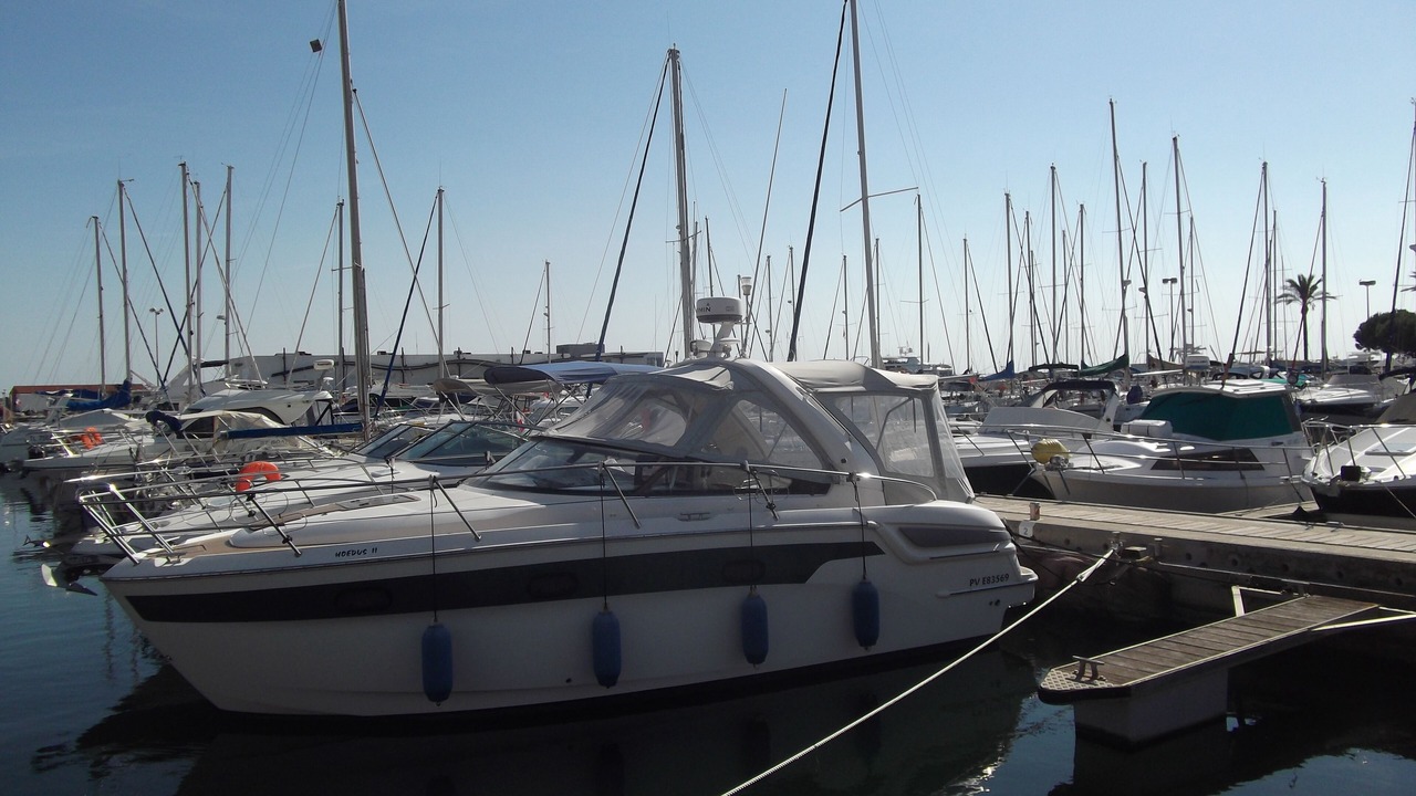 Photo of Others in Saint-Cyprien Plage