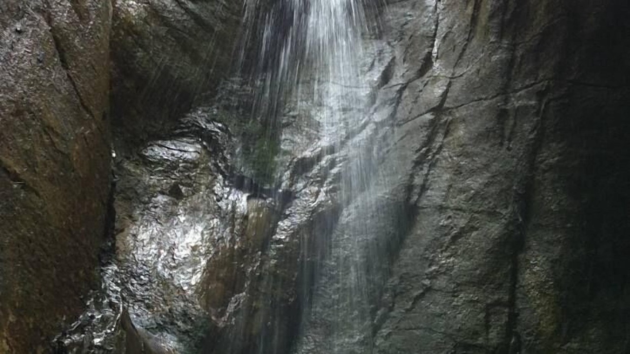 Photo of Others in Thollon-les-Memises