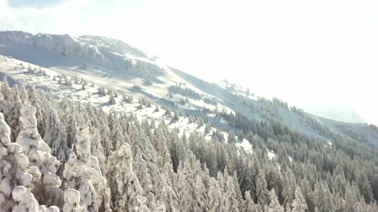 Photo of Outdoor in Thollon-les-Memises