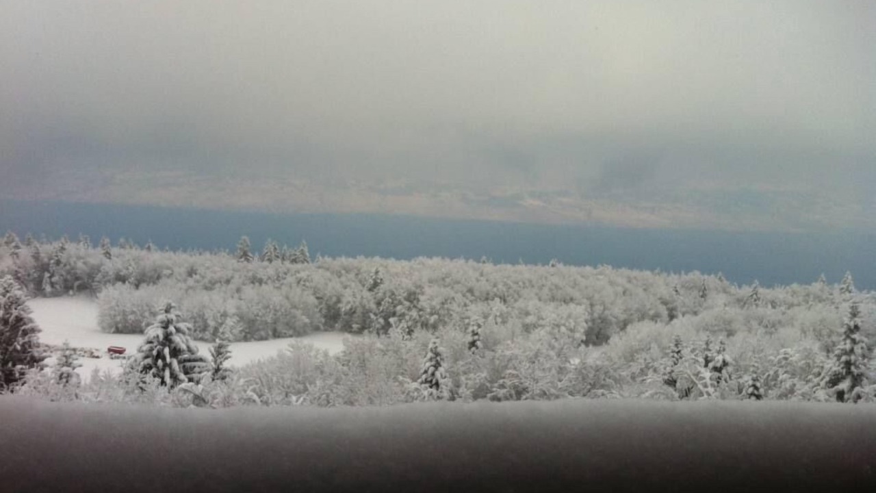 Photo of Others in Thollon-les-Memises