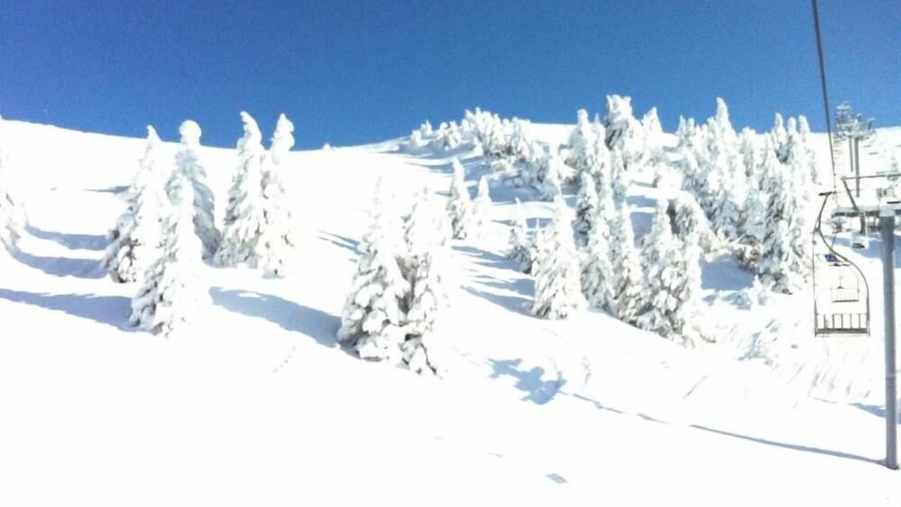 Photo of Others in Thollon-les-Memises