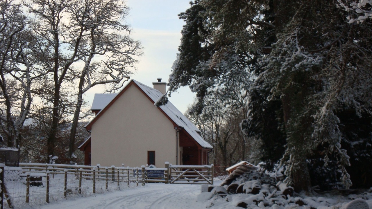 Photo of Others in Torcastle