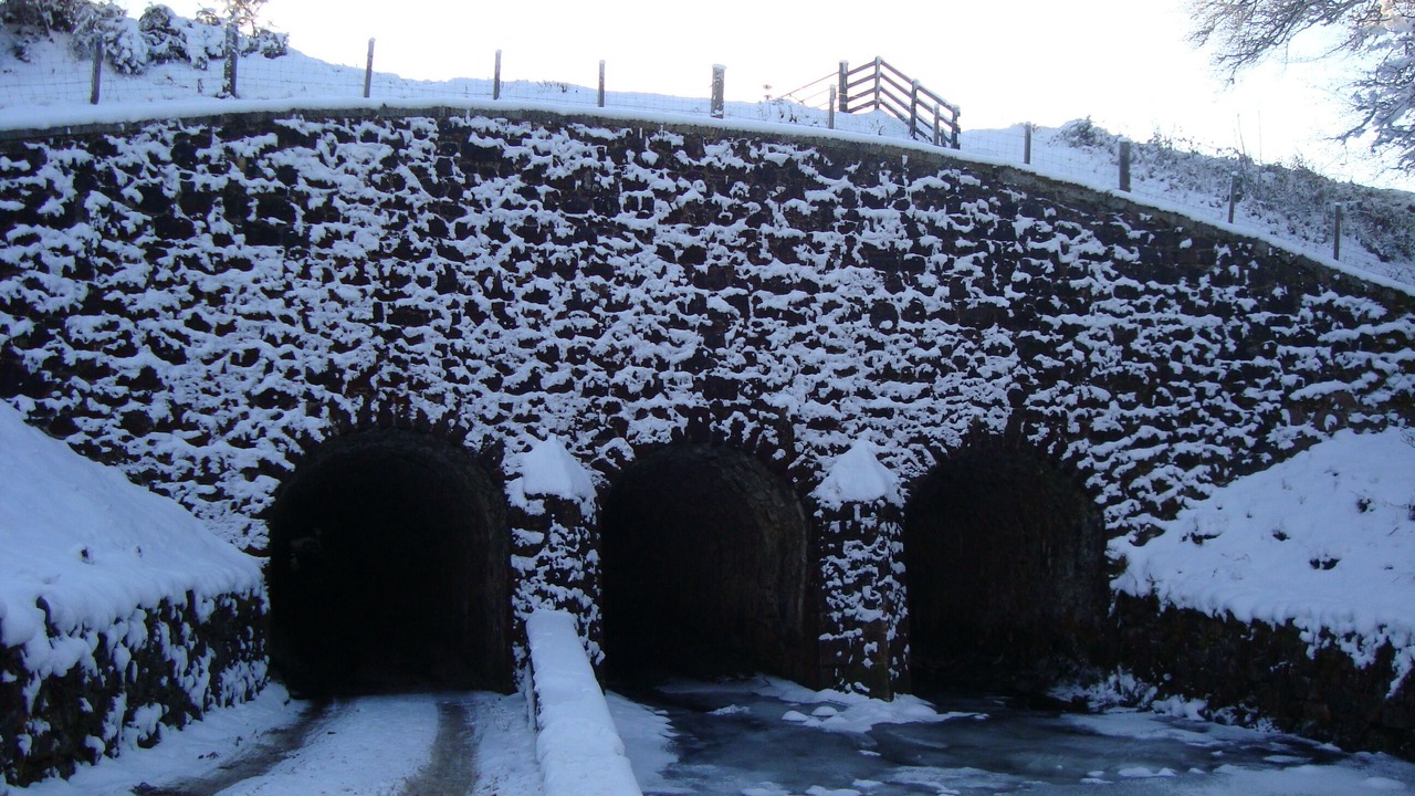 Photo of Others in Torcastle