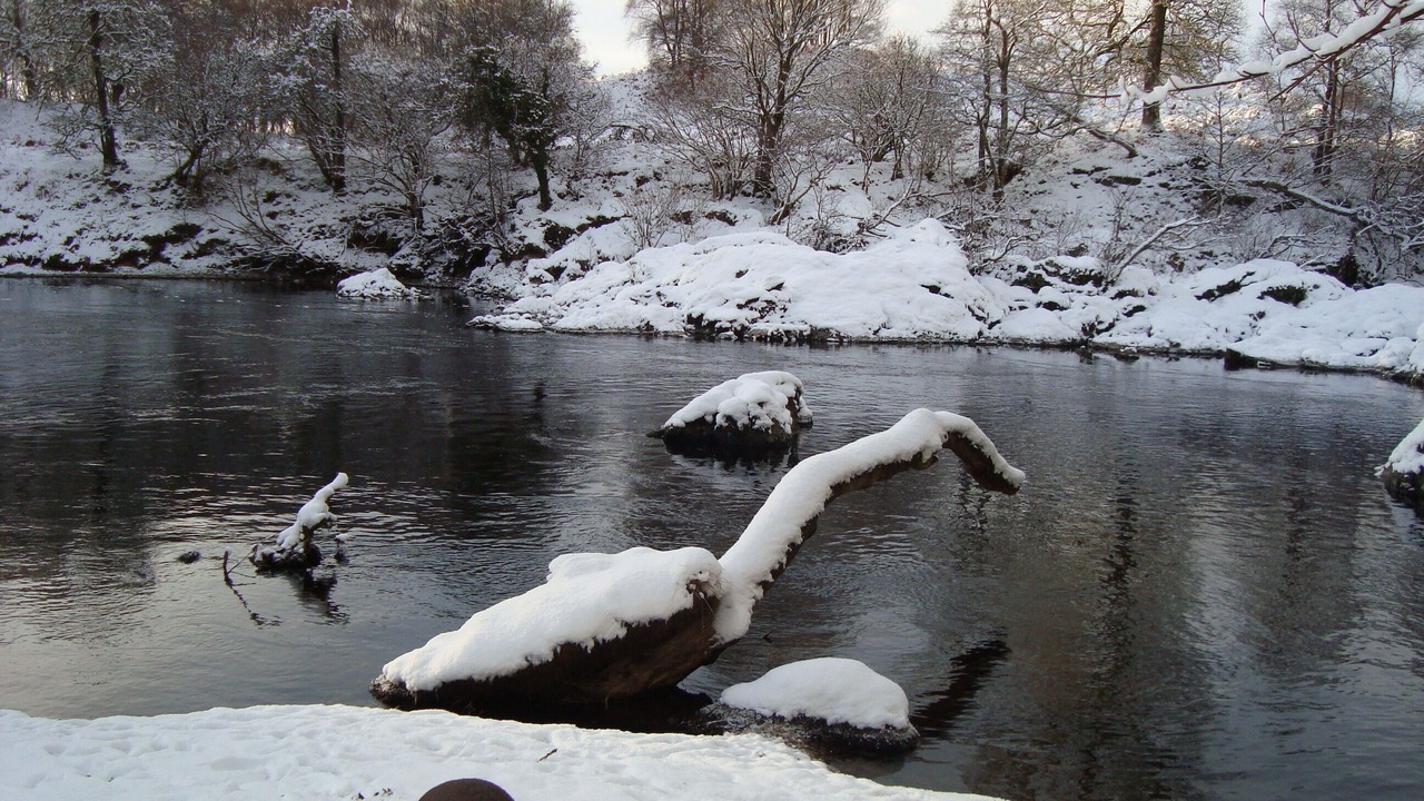 Photo of Others in Torcastle