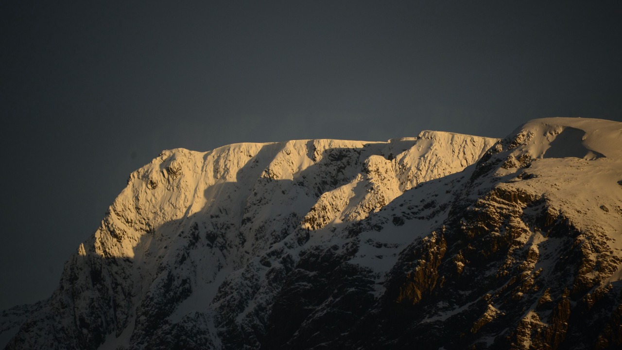 Photo of Others in Torcastle