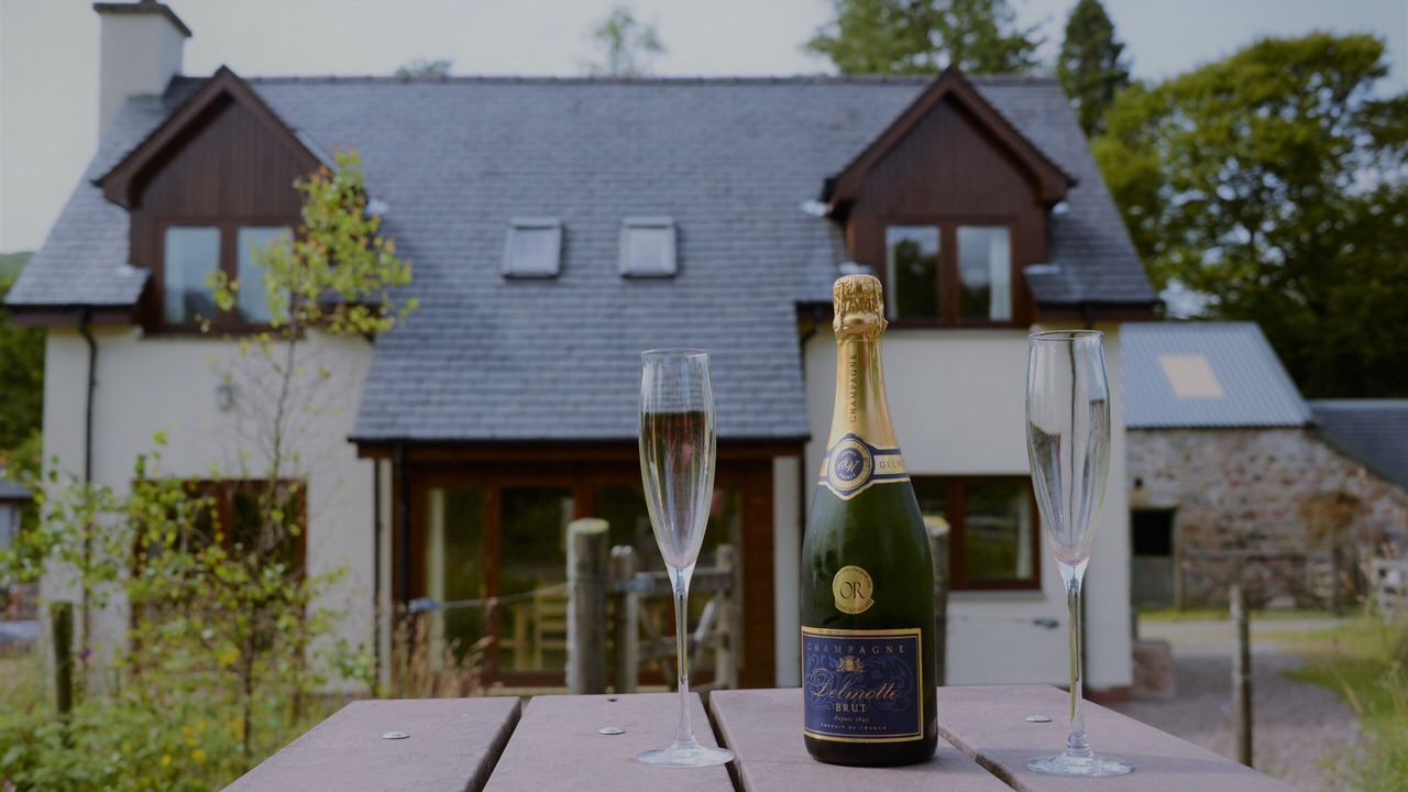 Photo of Outdoor in Torcastle