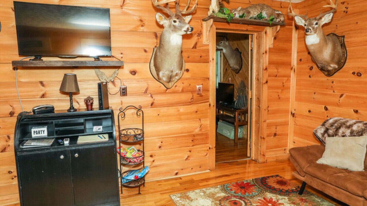 Photo of Livingroom in Willis
