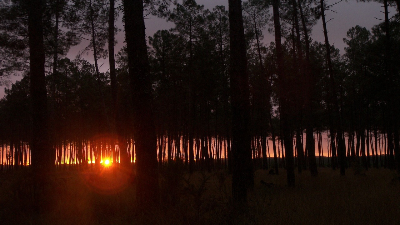 Photo of Outdoor in Ousse-Suzan