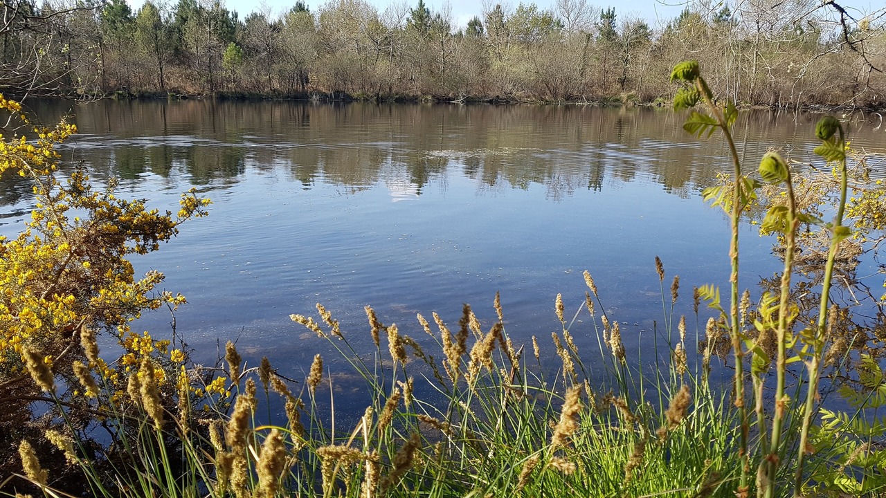 Photo of Outdoor in Ousse-Suzan