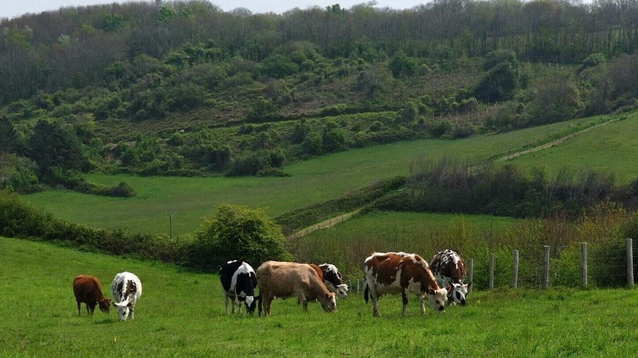 Photo of Outdoor in Anatole France Danton