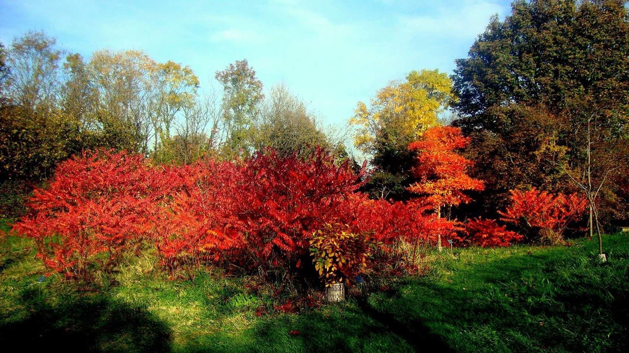 Photo of Outdoor in Anatole France Danton