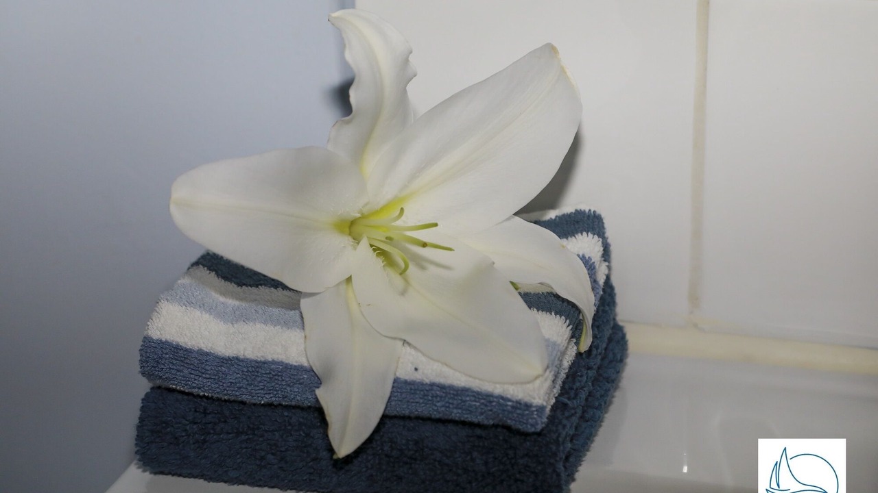 Photo of Bathroom in Anatole France Danton