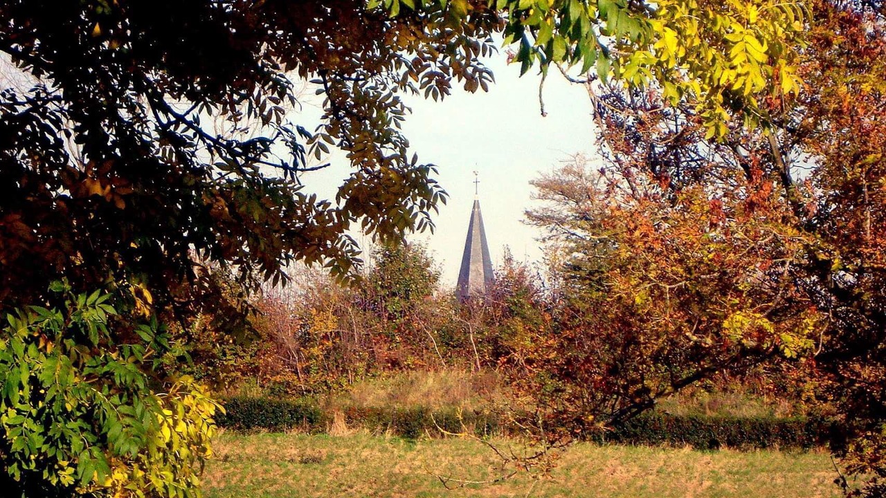 Photo of Outdoor in Anatole France Danton