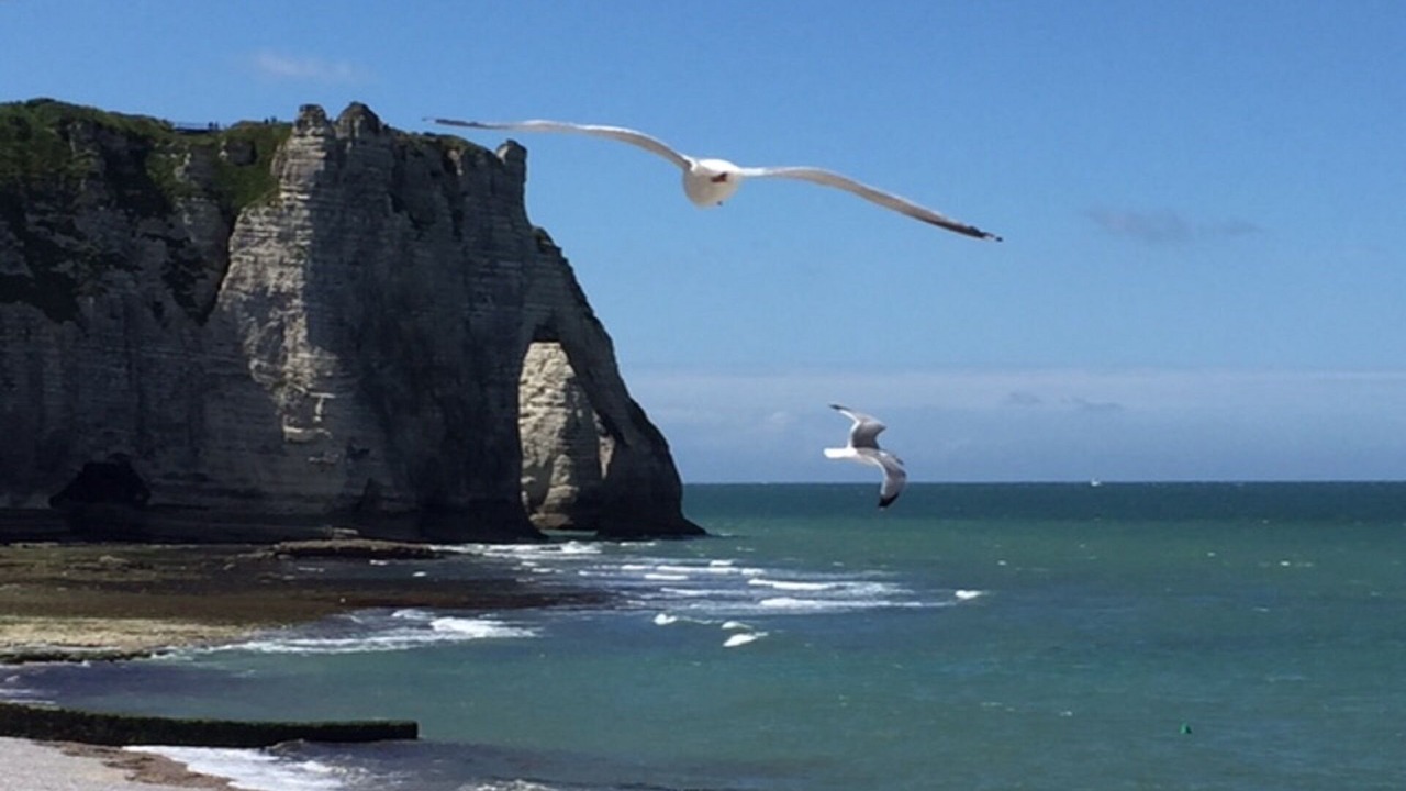 Photo of Others in Etretat