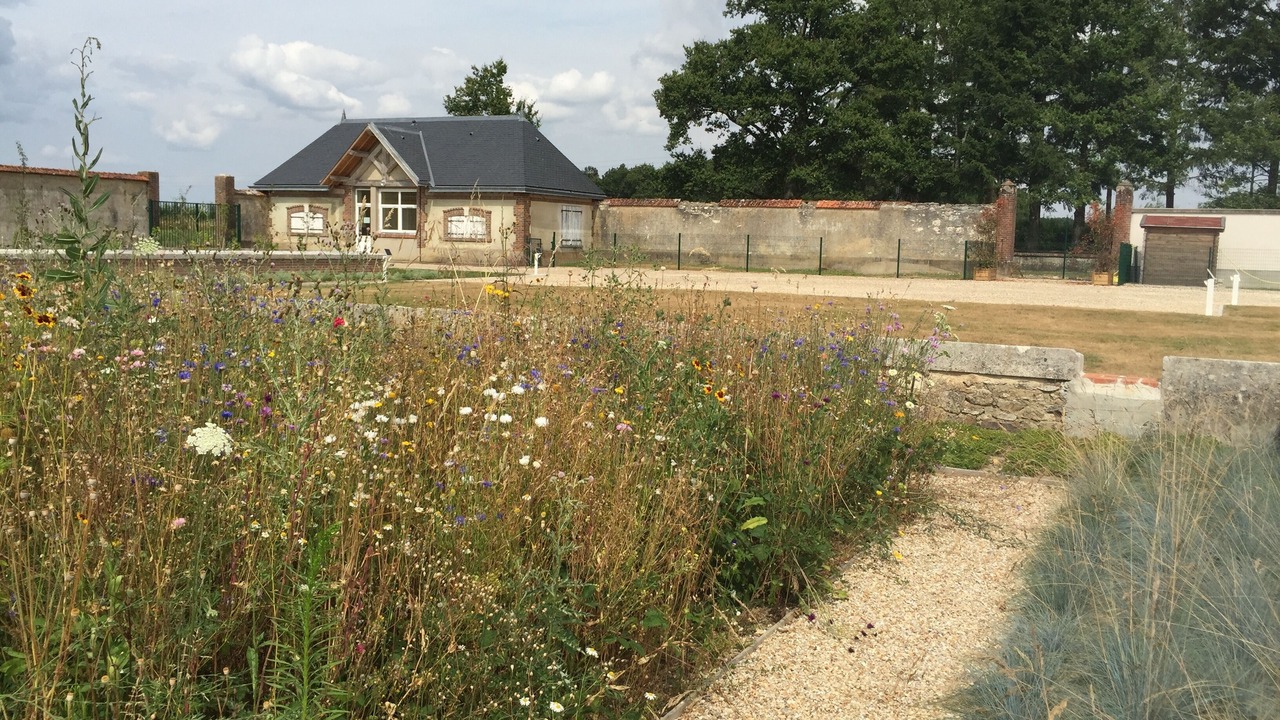 Photo of Outdoor in Vouzeron