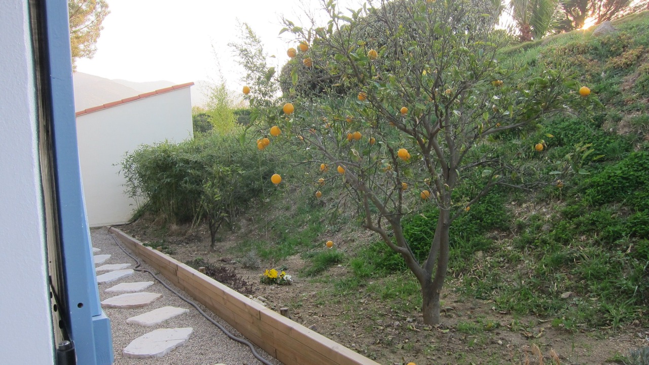 Photo of Others in Laroque-des-Alberes