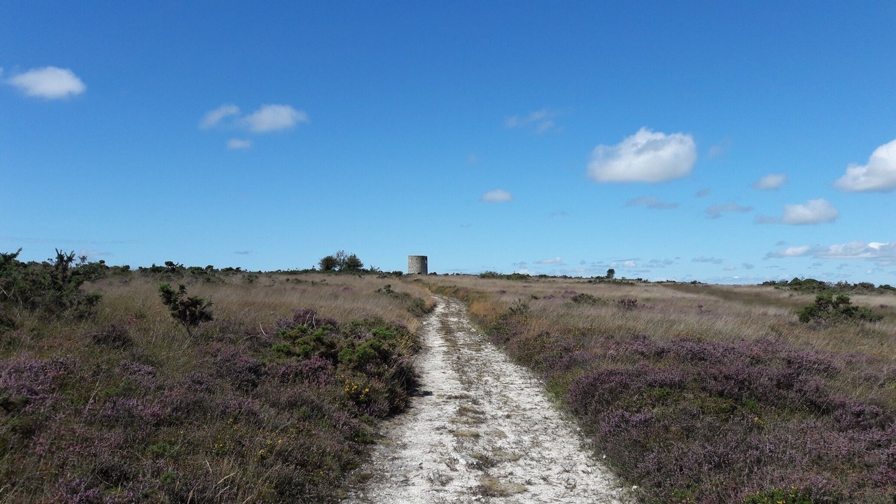 Photo of Others in Ver