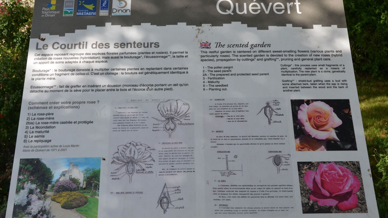 Photo of Others in Quevert