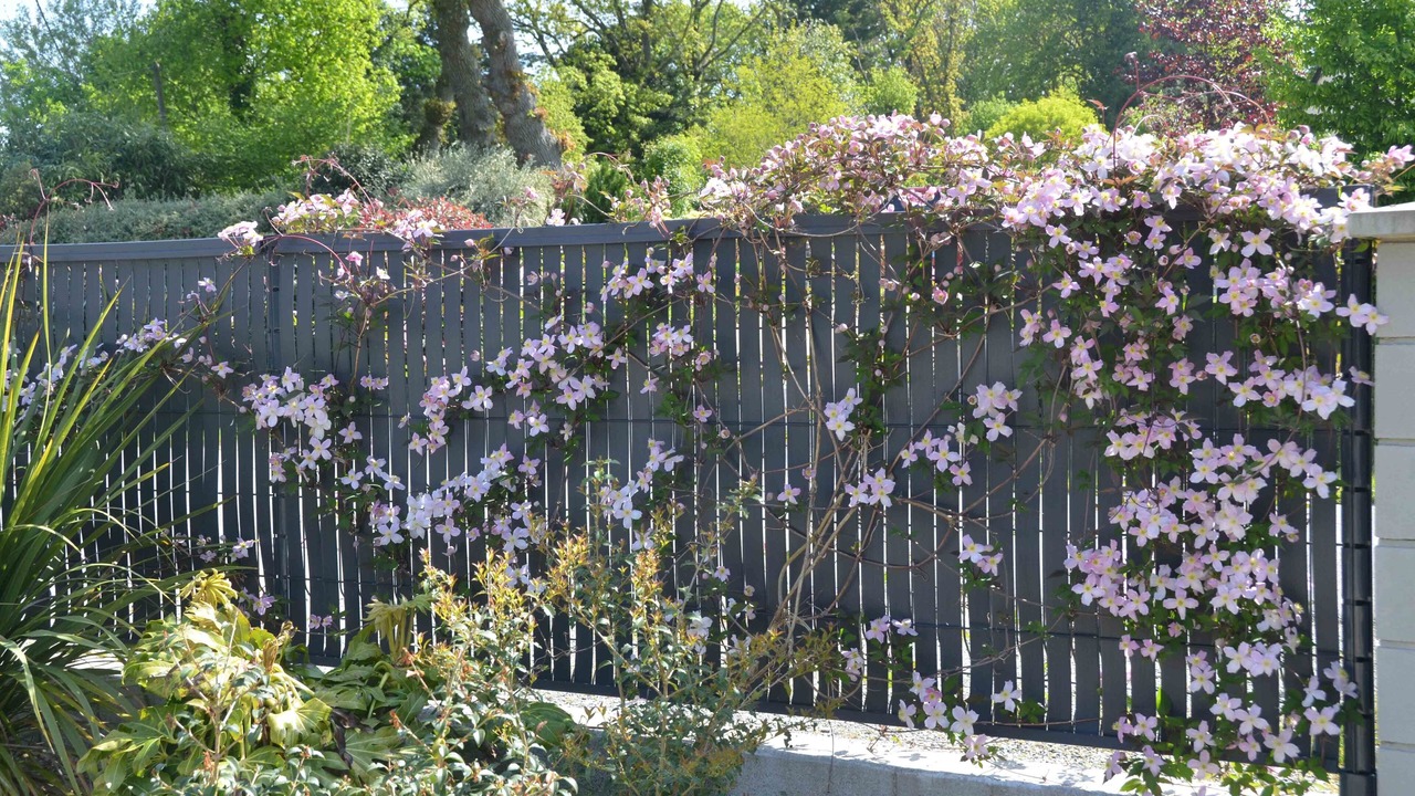 Photo of Outdoor in Quevert