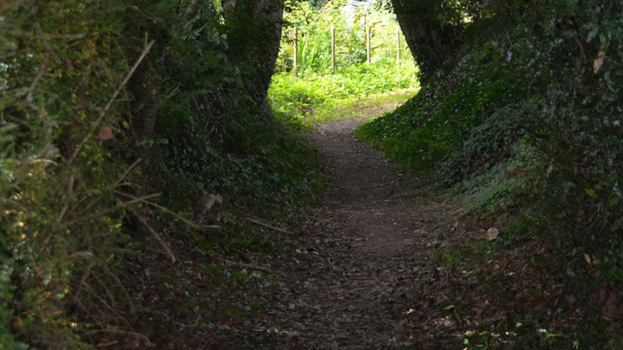 Photo of Outdoor in Quevert