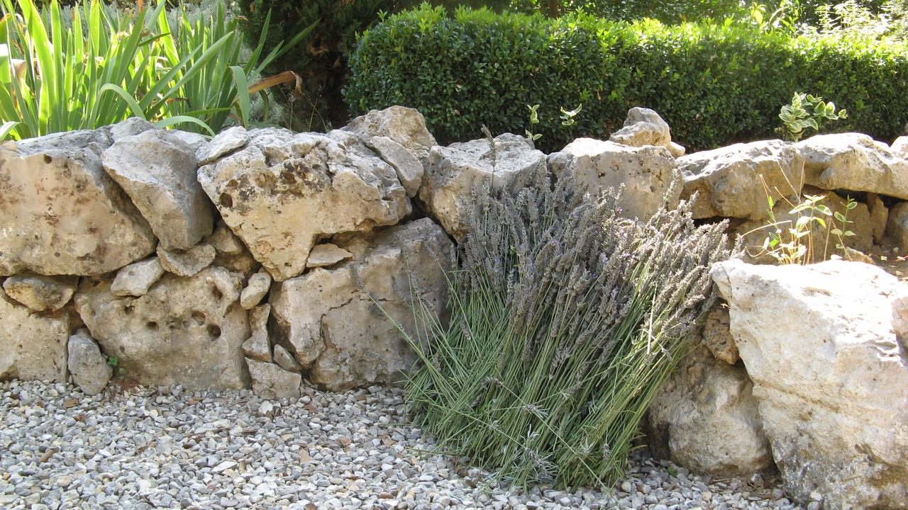 Photo of Outdoor in Garrigues-Sainte-Eulalie