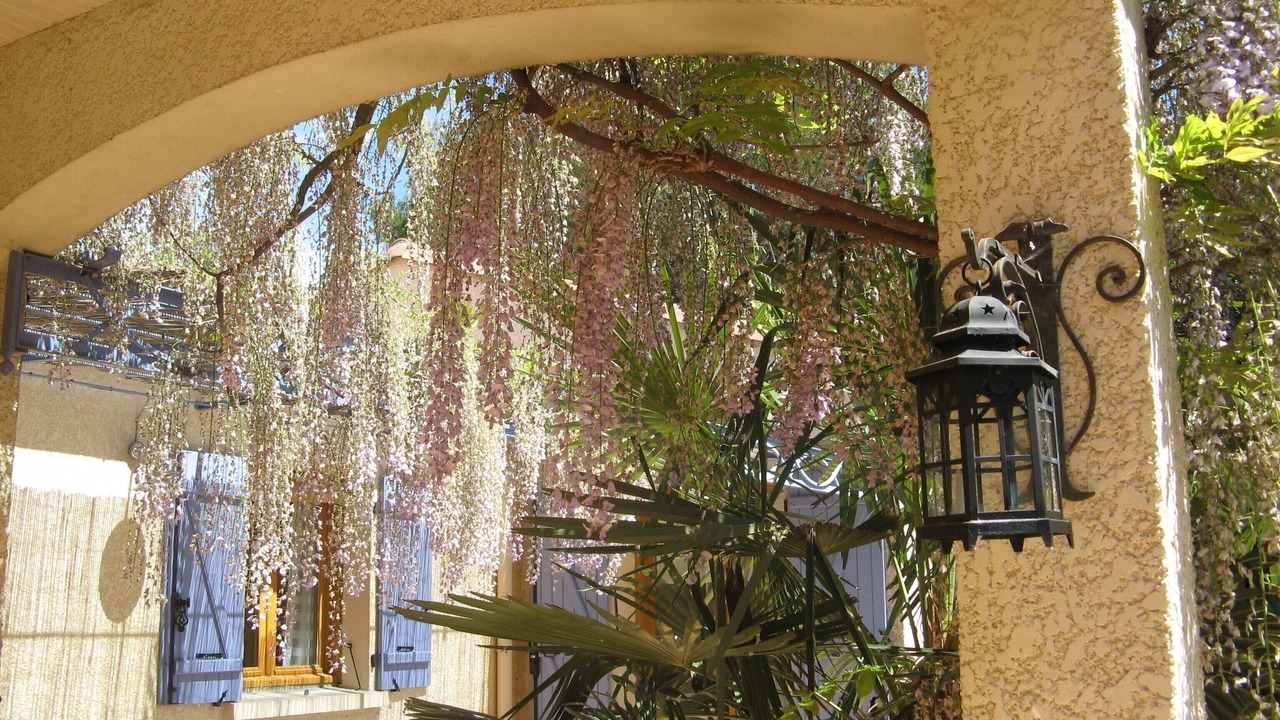 Photo of Outdoor in Garrigues-Sainte-Eulalie