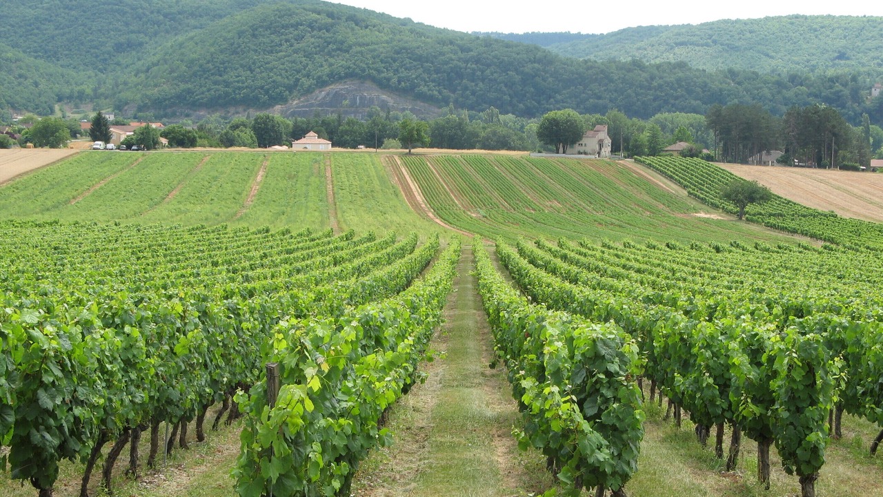 Photo of Outdoor in Cahors