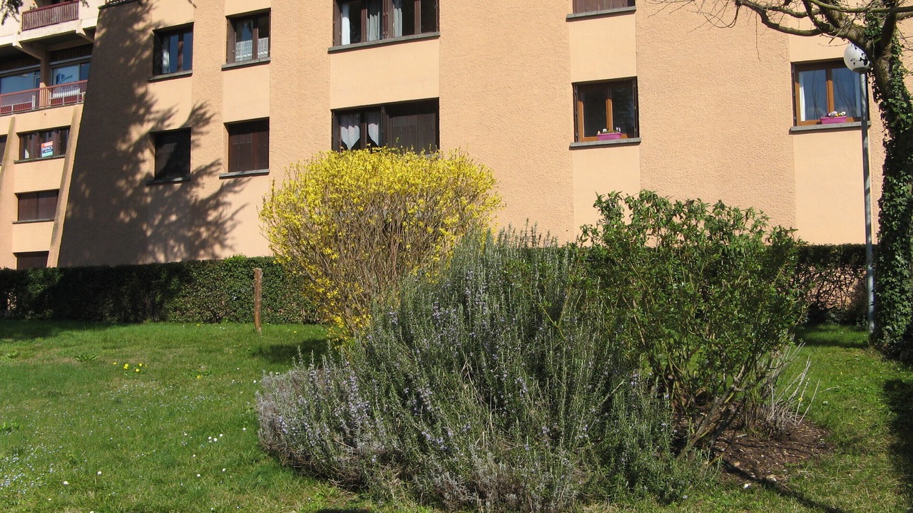 Photo of Outdoor in Cahors