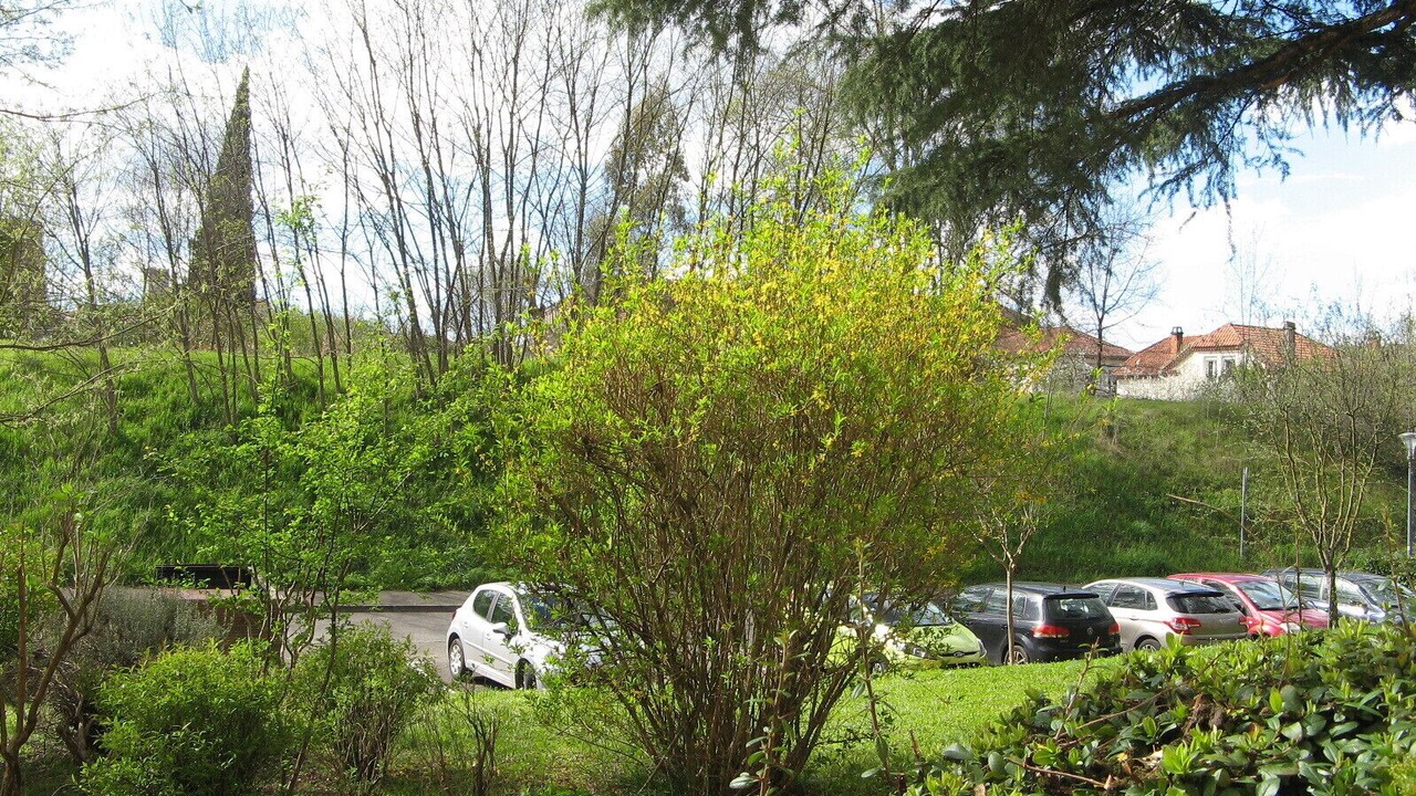 Photo of Outdoor in Cahors