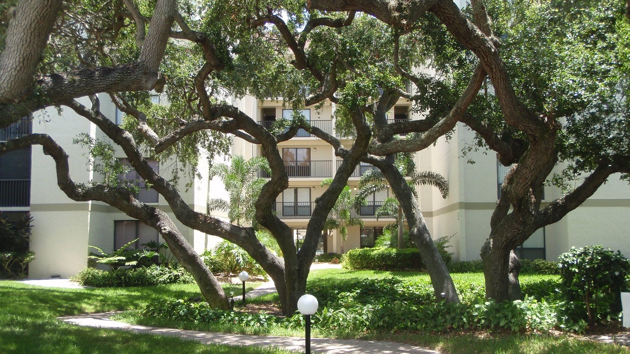 Photo of Outdoor in Siesta Key