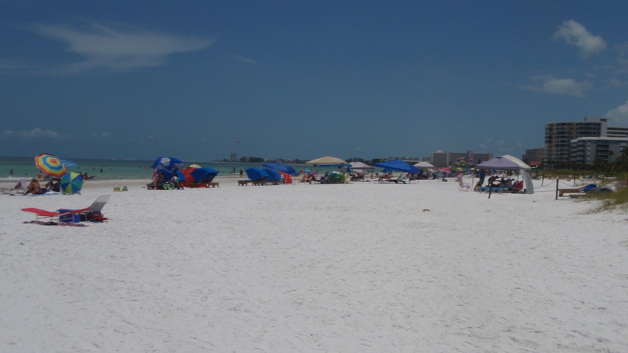 Photo of Others in Siesta Key