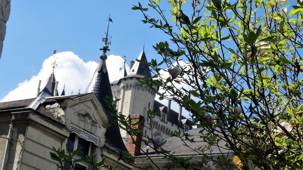 Photo of Outdoor in Saumur