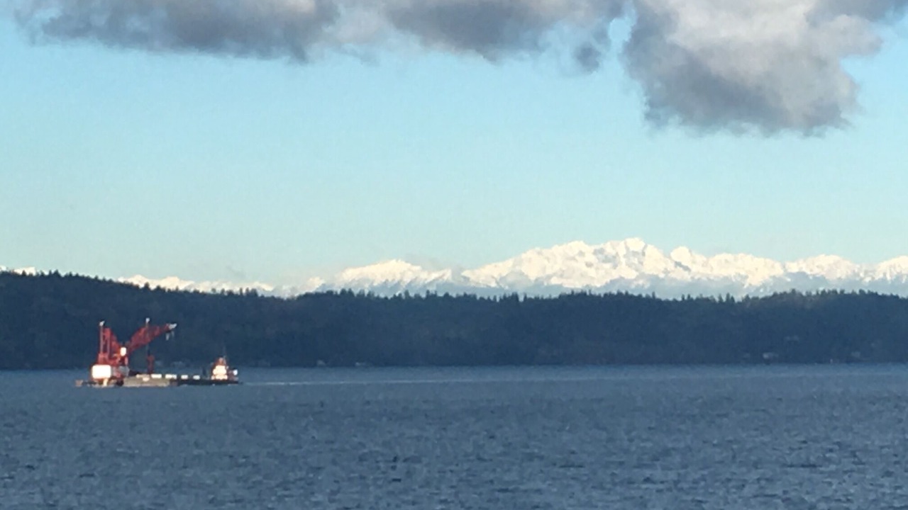 Photo of Others in Three Tree Point