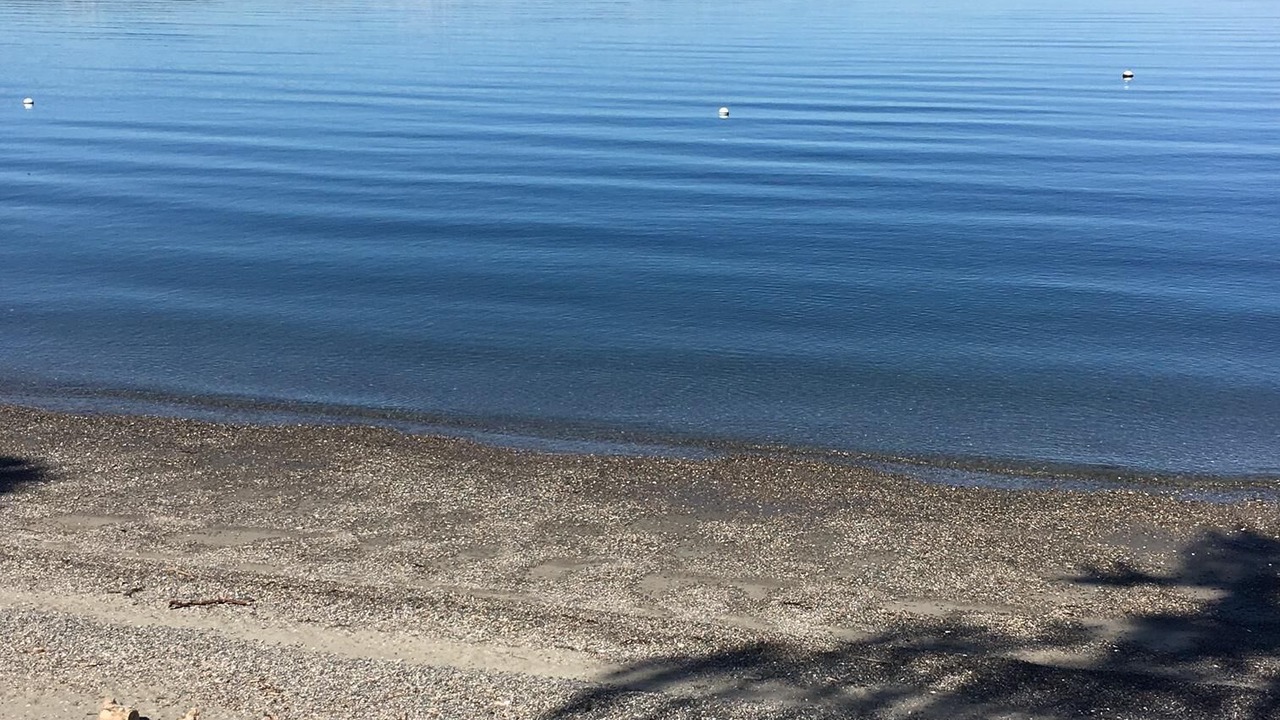 Photo of Others in Three Tree Point