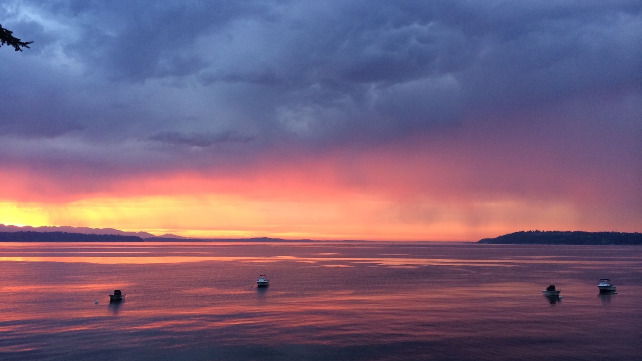 Photo of Others in Three Tree Point